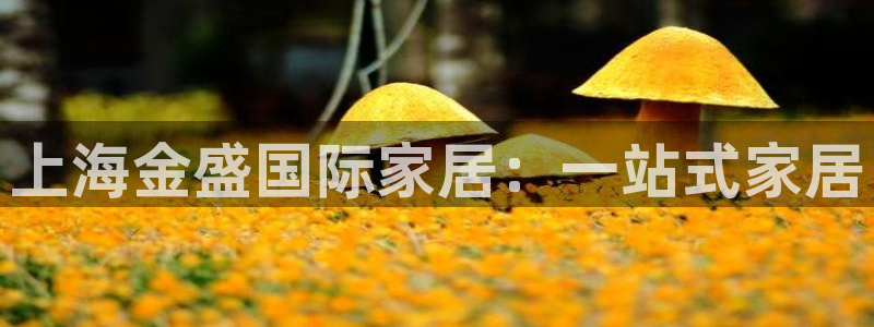 ug环球会员官网