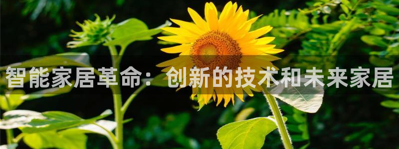 ug环球国际360