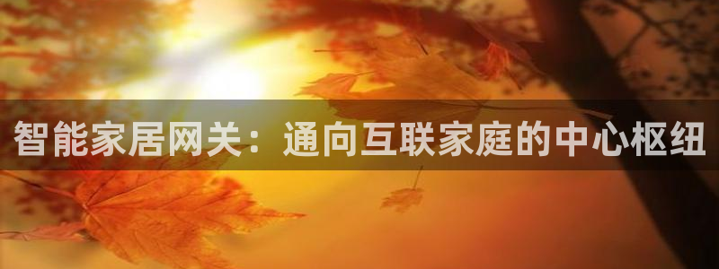 ug环球视讯延时软件