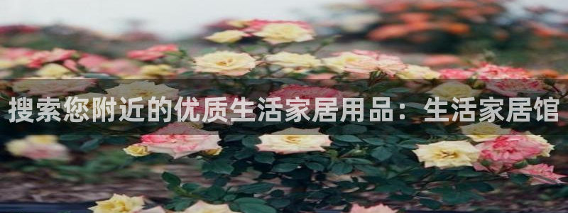 ug环球代理平台