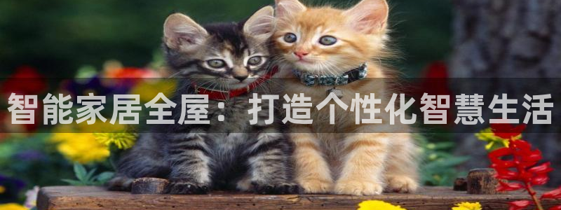 ug环球买代理