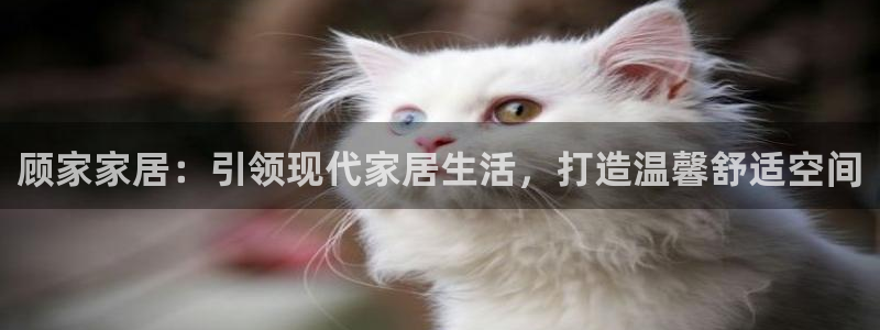 ug环球视讯