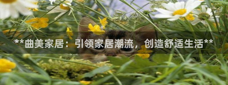 UG环球视讯官网