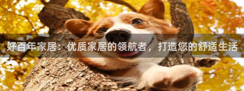 ug环球密码重置是多少位数