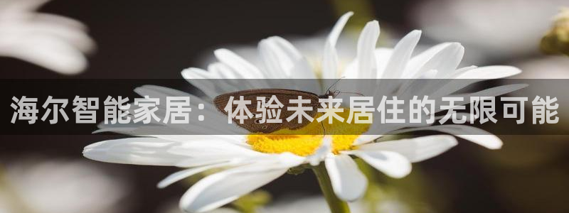 ug环球官网登录