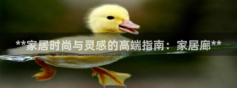 ug环球正网包杀