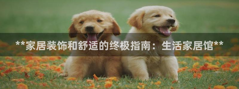 UG环球假网合作