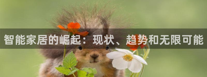 ug环球买分卖分