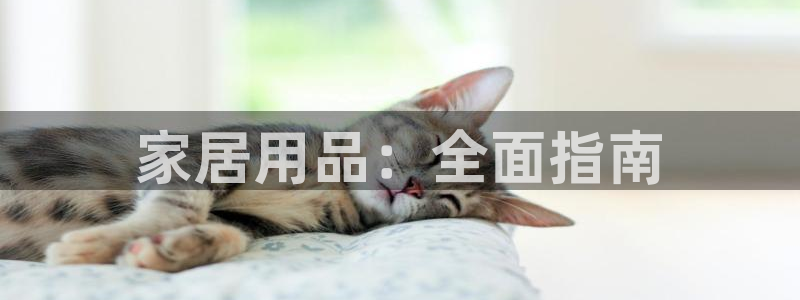 ug环球360