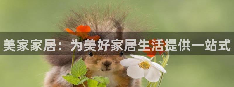 Ug环球网网址