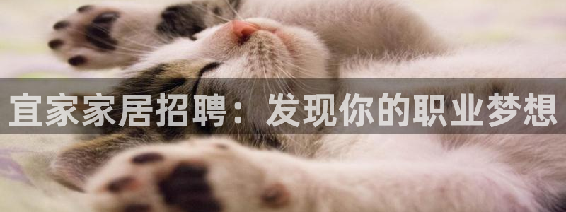 ug环球视讯