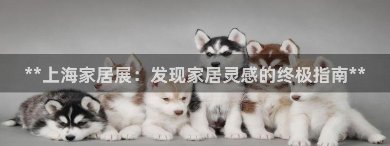 ug环球视讯