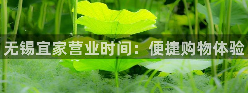 ug环球密码重置是多少位数啊