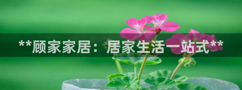 环球ug官网代理