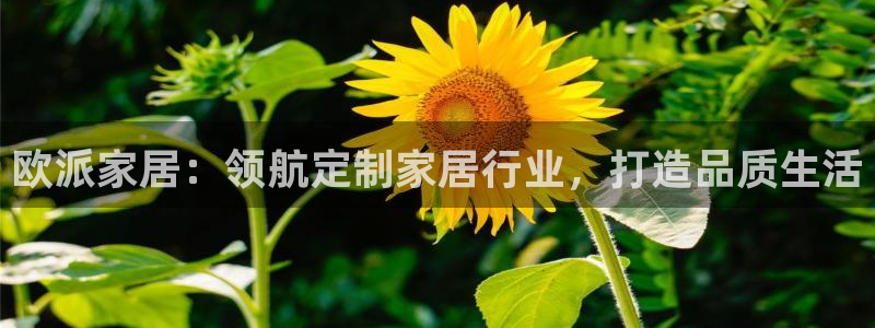 Ug环球私网一比一