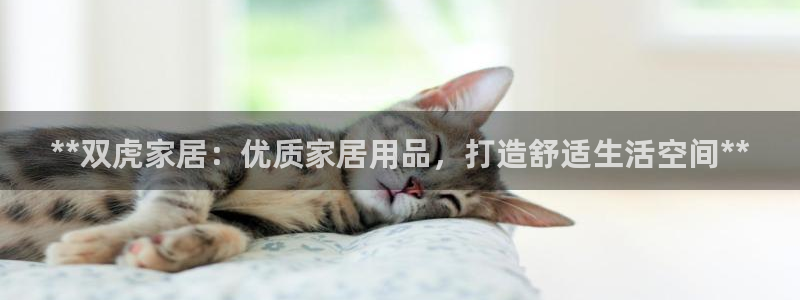 ug环球会员开户