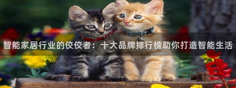 ug环球视讯官网网址