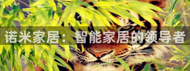 UG环球视讯官网