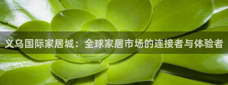 ug环球正网开户