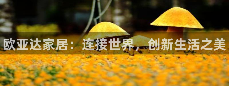 ug环球正网开户