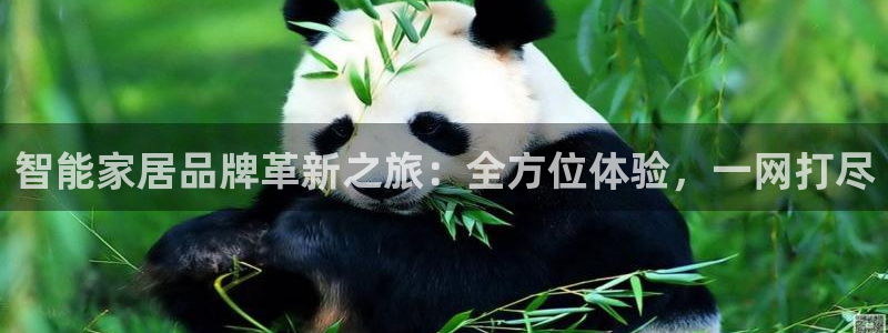 UG环球会员官方