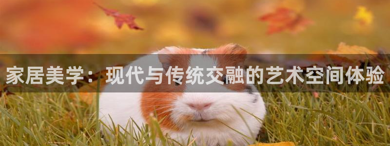 ug环球游戏网站