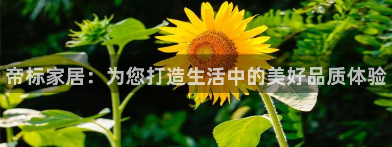 ug环球官网开户