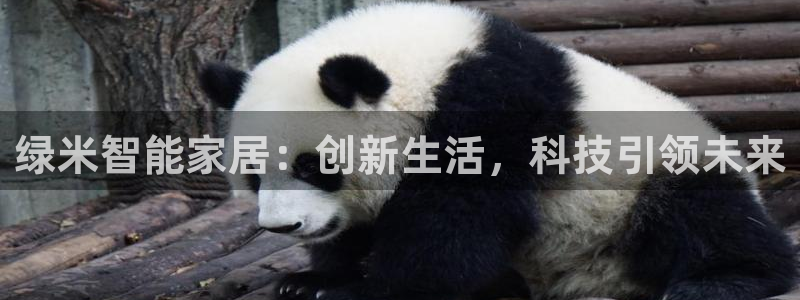 ug环球官网会员注册