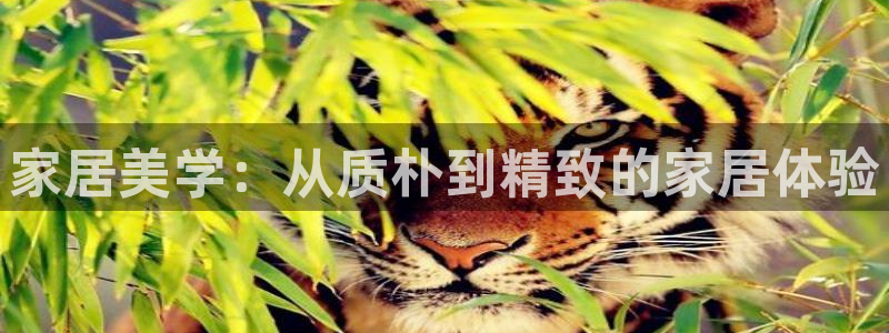 ug环球官网环球360