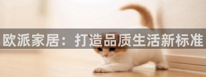 UG环球视讯