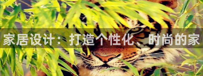 ug环球360