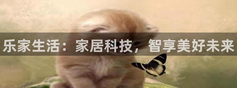 UG环球假网合作