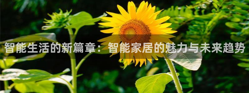 ug环球买代理