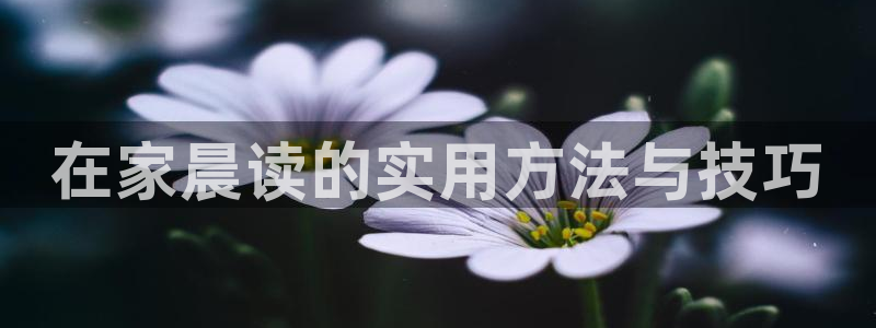 ug环球找唯xkk 908