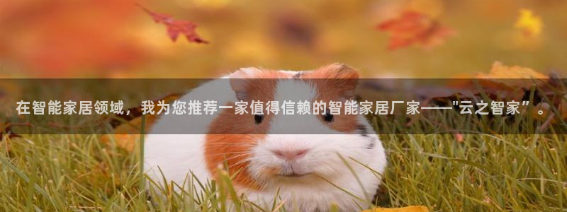 ug环球官网环球360