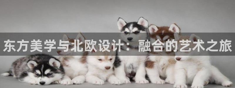 ug环球会员官方客服电话