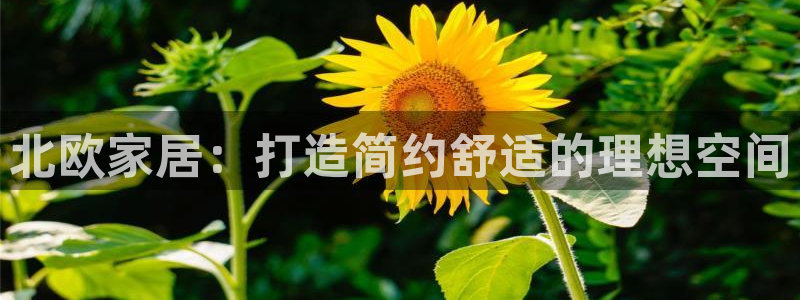 ug环球会员网站登录