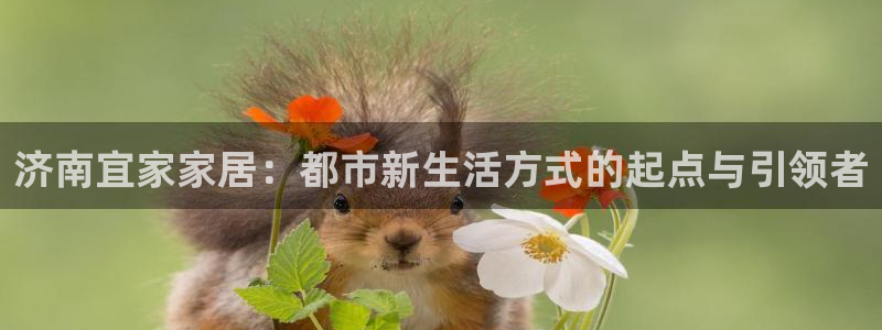 ug环球会员登录