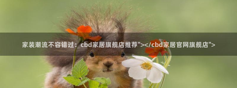 ug环球会员网站登录