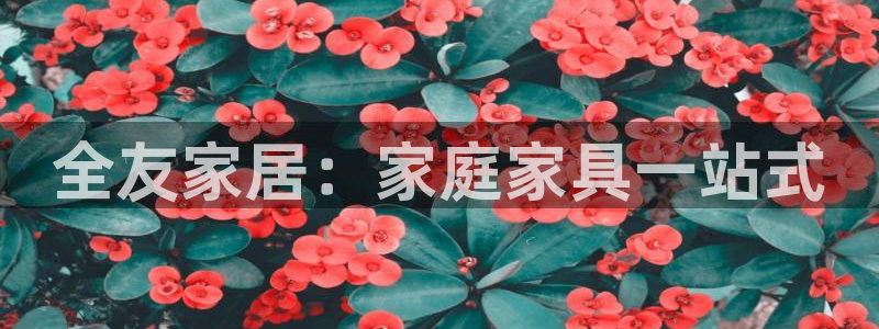 UG环球代理合作
