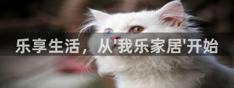 ug环球官网环球360