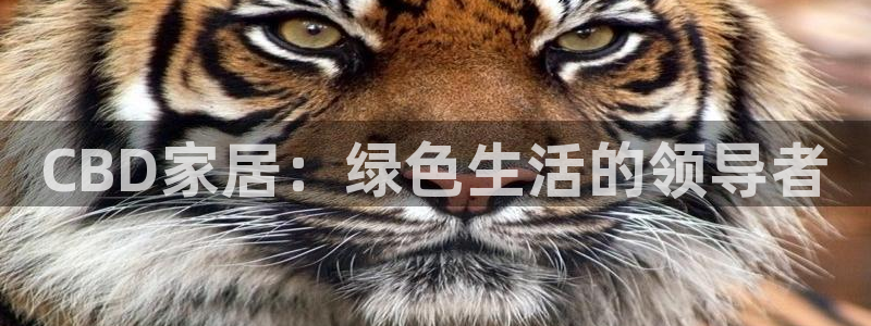 ug环球360官网：CBD家居：绿色生活